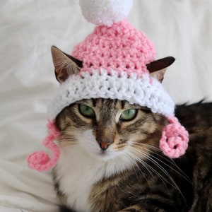 Hut für Katzen, 2 Farbe häkeln Pom Pom Hut für Katzen und Hunde kleiner Rassen, Feline Accessoires für den Winter, süße Katze Foto Requisite Bild 4