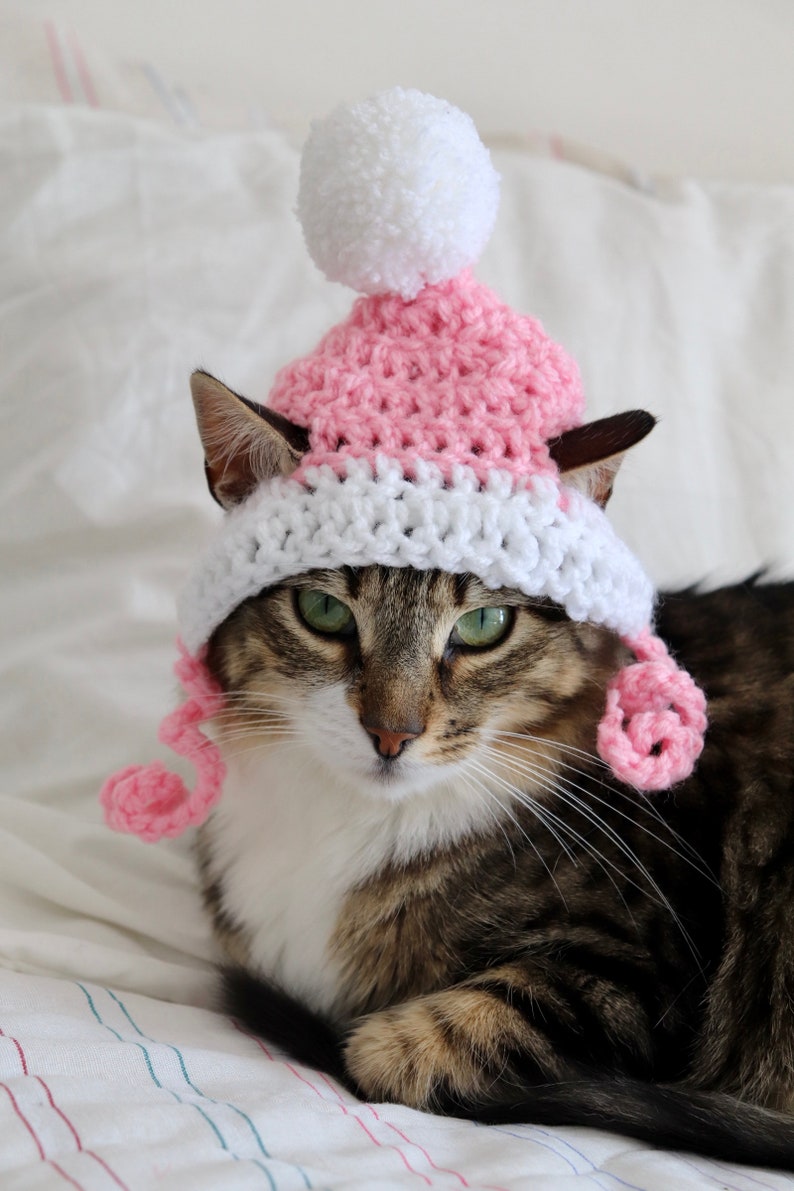 Hut für Katzen, 2 Farbe häkeln Pom Pom Hut für Katzen und Hunde kleiner Rassen, Feline Accessoires für den Winter, süße Katze Foto Requisite Bild 4