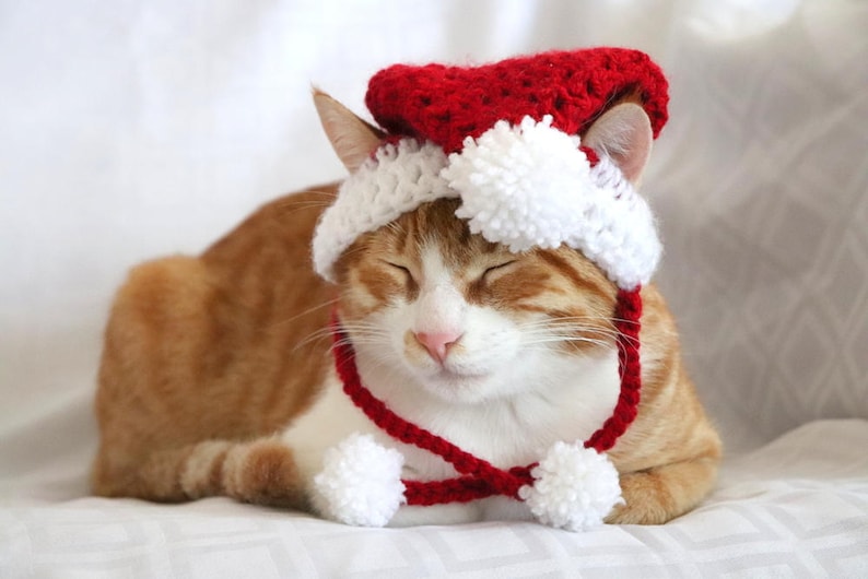 Santa Hat for Cats, Cat Santa Hat, Holiday Cat Hat, Christmas Hat for Cats and Kittens, Christmas Cat Hat, Santa Cat Hat image 2