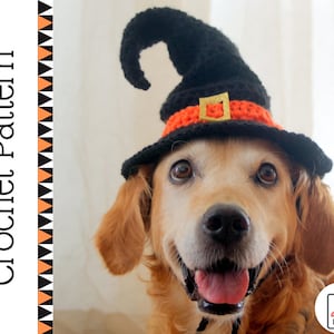 Crochet Pattern: Witch Hat for Large Dogs, Crochet Witch Pet Costume Hat, Witch Dog Hat PDF Pattern for Digital Download image 1