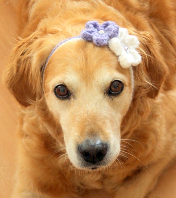 dog flower necklace