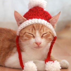 Santa Cat Hat Crochet Pattern, Fun and Festive Christmas Crochet Pattern for Cats and Kittens, Quick and Beginner Friendly image 6