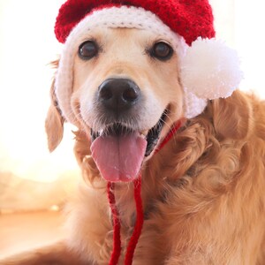 Santa dog hat with ear holes, Santa hat for large dogs Golden, Lab, Pitbull, Husky, Boxer, Christmas dog accessory image 5