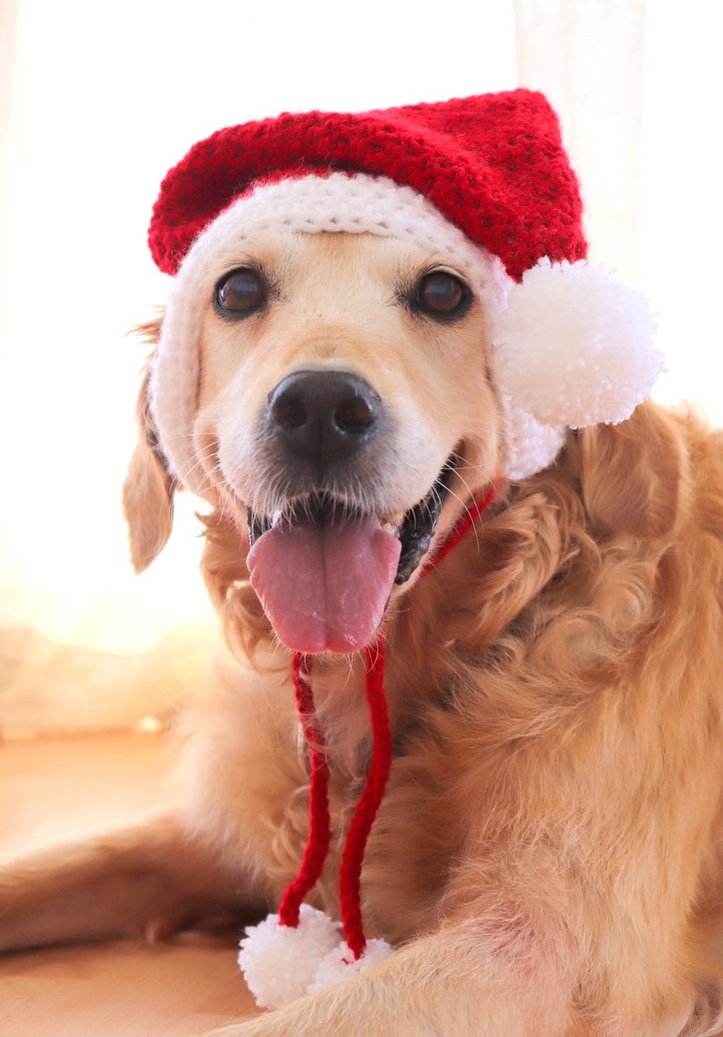 Santa dog hat with ear holes, Santa hat for large dogs Golden, Lab, Pitbull, Husky, Boxer, Christmas dog accessory image 5