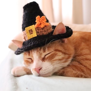 Thanksgiving Pilgrim Hat for Cats, Colonial Pilgrim Cat Hat with Leaf and Ear Holes, Thanksgiving Cat Accessory, Cute Hat for Cats