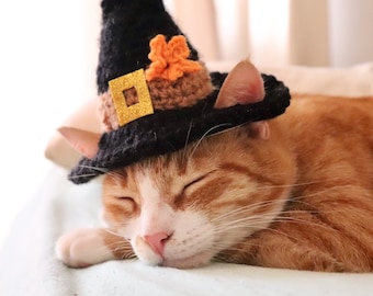 Thanksgiving Pilgrim Hat for Cats, Colonial Pilgrim Cat Hat with Leaf and Ear Holes, Thanksgiving Cat Accessory, Cute Hat for Cats