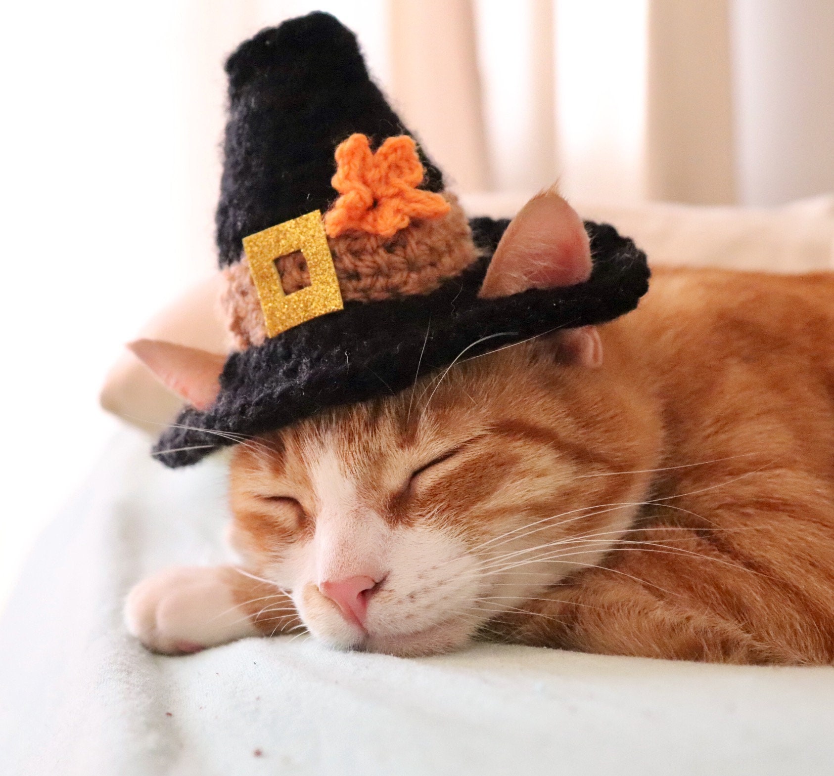 Thanksgiving Pilgrim Hat For Cats Colonial Pilgrim Cat Hat Etsy