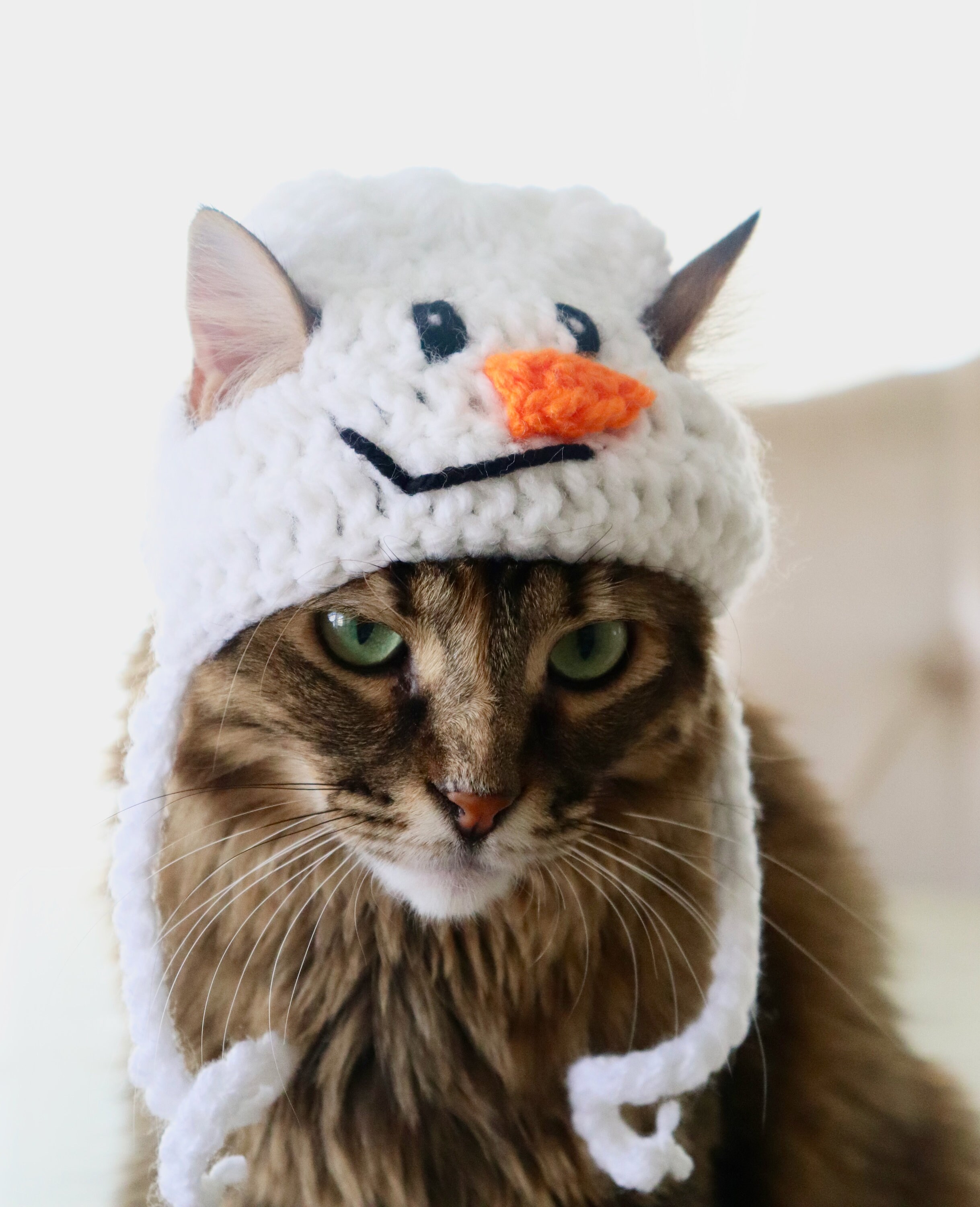 Winter hats for cats cheap