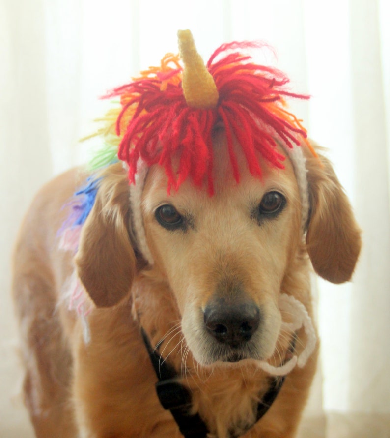 Unicorn Costume for Dogs Unicorn Mane and Horn for Large Etsy
