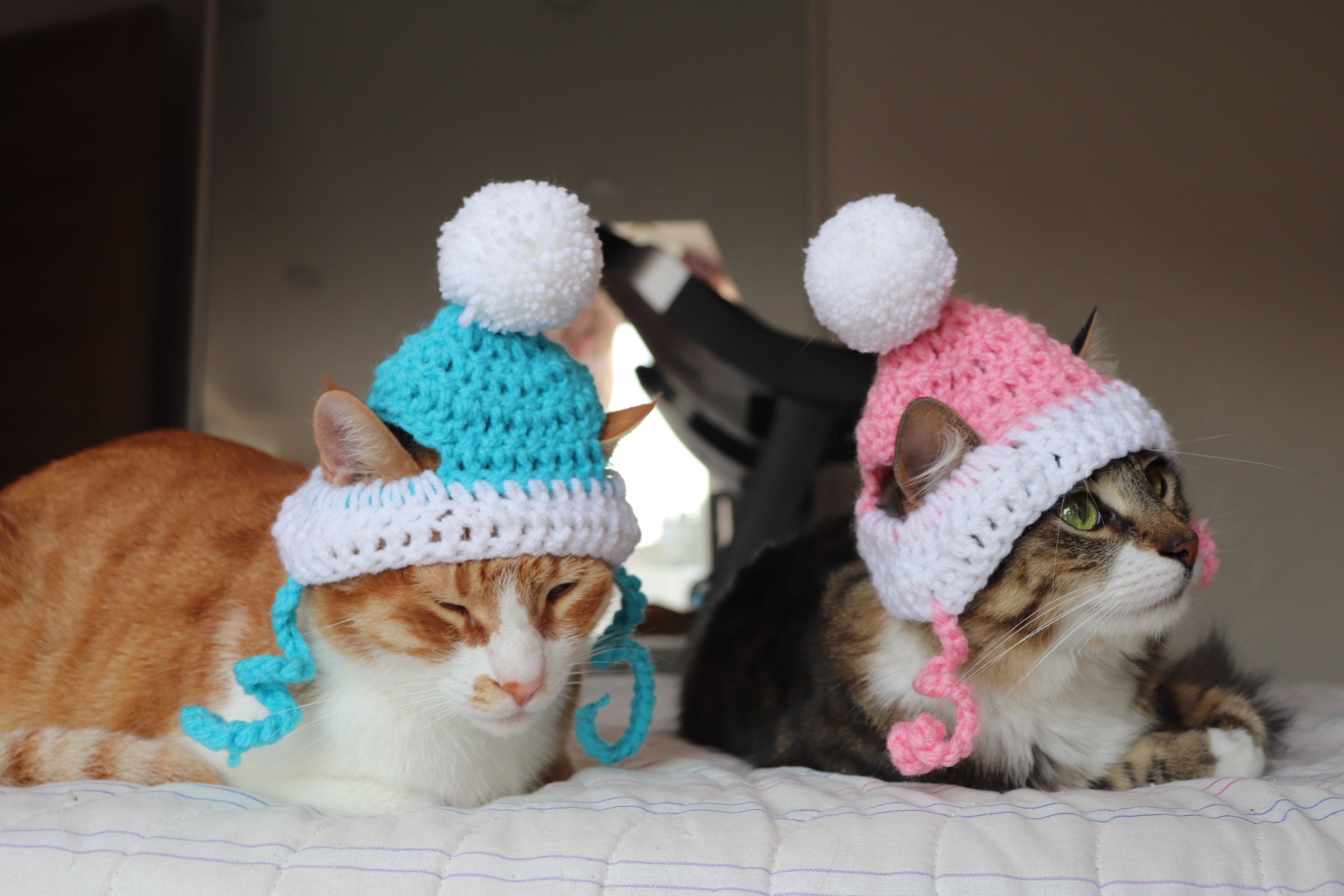 Crochet Cat Hat Pattern, Beginner Friendly Crochet Pattern for