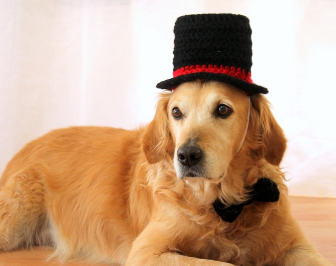 Top Hat for Dogs With Optional Bow Tie Add On Custom Colors Etsy