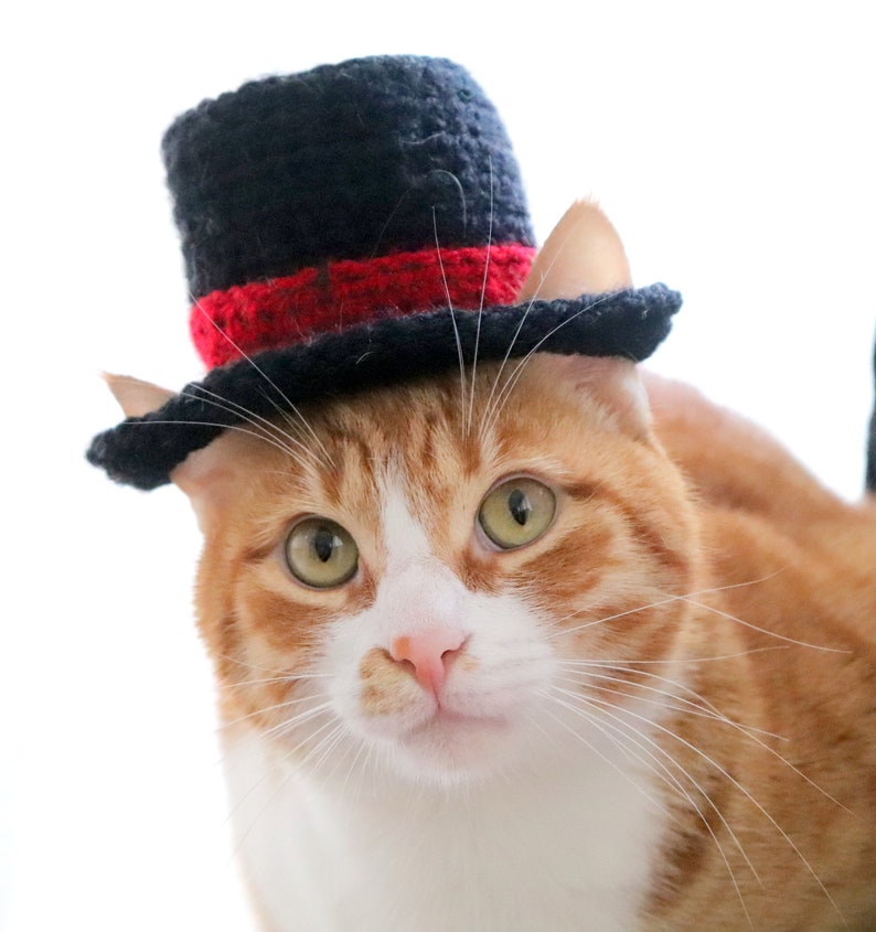 Crochet Pattern: Top Hat for Cats, Crochet Top Hat Pattern with Ear Holes for Cats / XS Dog Breeds, New Years Crochet Pattern for Pets image 9