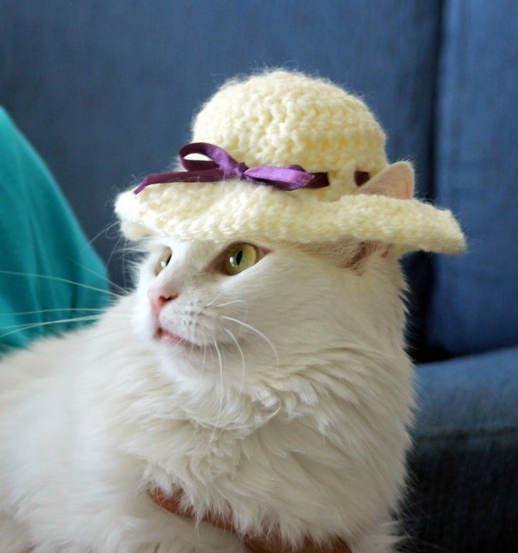 Sonnenhut für Katzen Preakness Katzen Mütze Derby Hut für ...