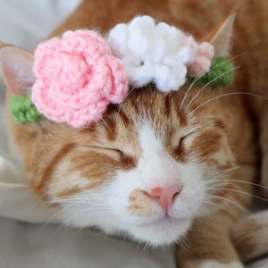 Cat Flower Crown PDF Crochet Pattern, 2-in-1 Flower Collar or Crown for Cats, Summer Crochet for Pets, Crochet Flower Pattern with Video image 6
