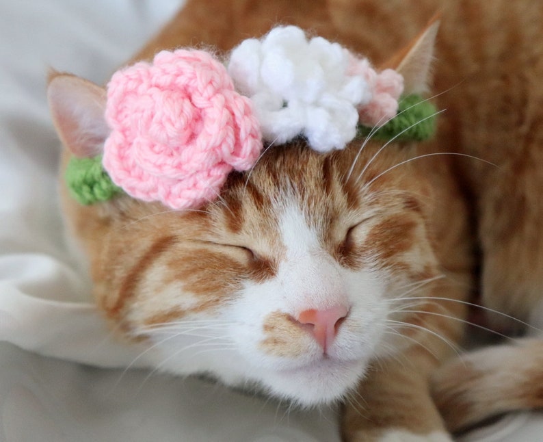 Cat Flower Crown PDF Crochet Pattern, 2-in-1 Flower Collar or Crown for Cats, Summer Crochet for Pets, Crochet Flower Pattern with Video image 6