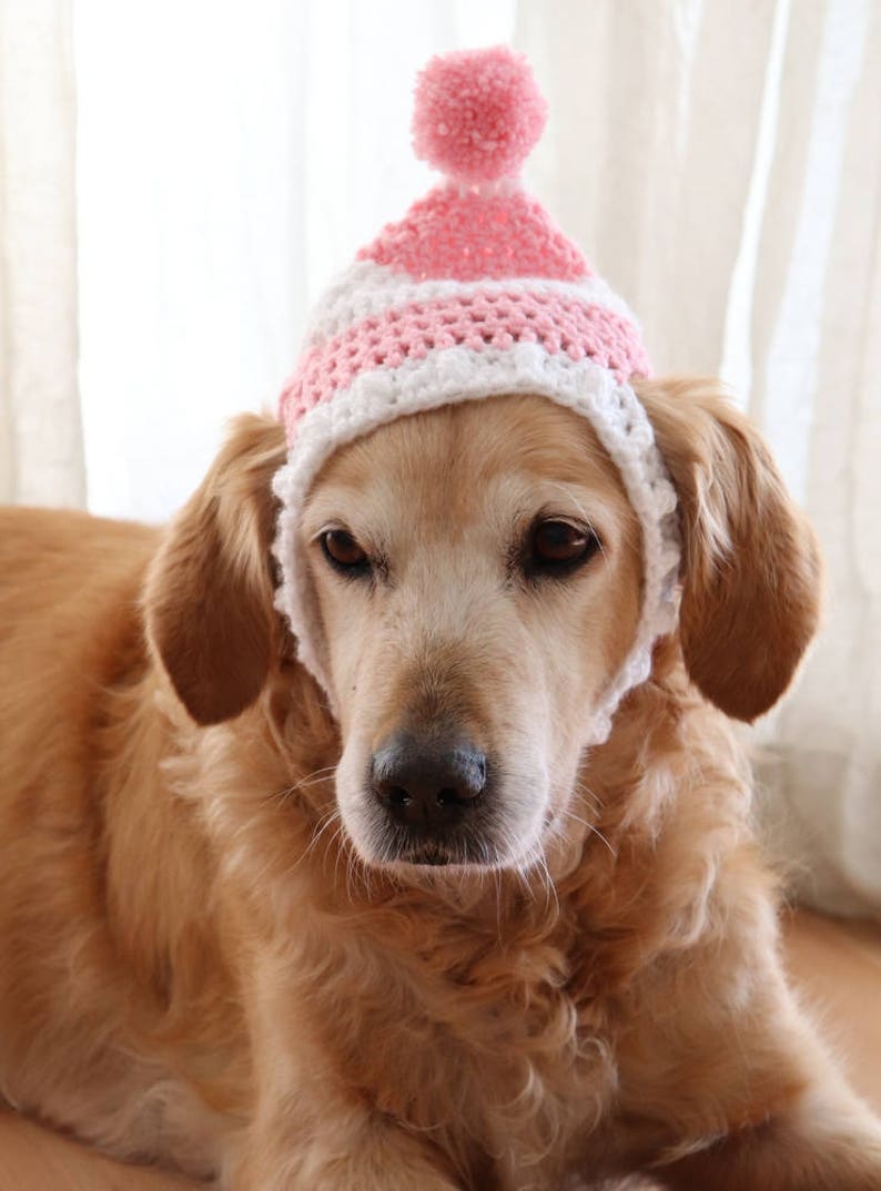 Dog Hat Dog Beanie Winter Hat for Dogs Large Breed Dog Hat Etsy