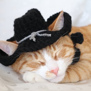 K&ouml;nnte beinhalten: Eine rot-wei&szlig;e Katze tr&auml;gt einen schwarzen geh&auml;kelten Cowboyhut mit einem grauen Band. Die Katze schl&auml;ft auf einer wei&szlig;en Oberfl&auml;che.