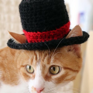 Crochet Pattern: Top Hat for Cats, Crochet Top Hat Pattern with Ear Holes for Cats / XS Dog Breeds, New Years Crochet Pattern for Pets image 8