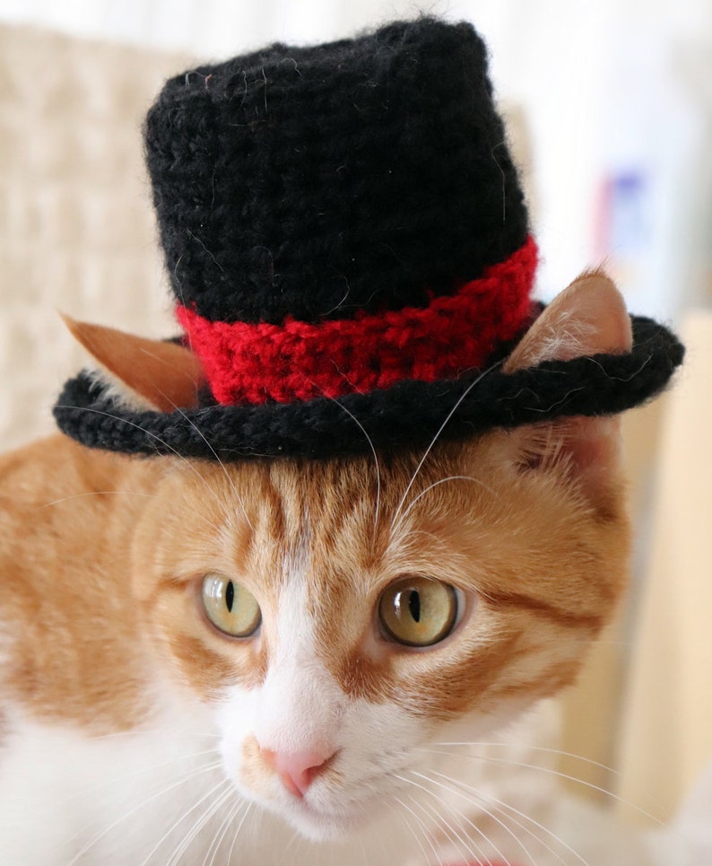 Crochet Pattern: Top Hat for Cats, Crochet Top Hat Pattern with Ear Holes for Cats / XS Dog Breeds, New Years Crochet Pattern for Pets image 8