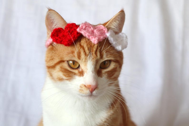 Heart Headband for Cats, Valentine's Day Cat Accessories, Cat Photo Prop for Valentines Day, Cute Cat Accessories, Cat Valentines Apparel immagine 1