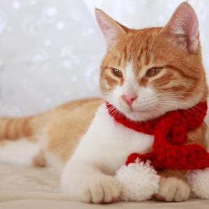 Cat Scarf, Christmas Scarf for Cats, Pom Pom Cat Scarf, Adjustable Cat Scarf, Holiday Photo Prop for Cats, Christmas Cat Accessories