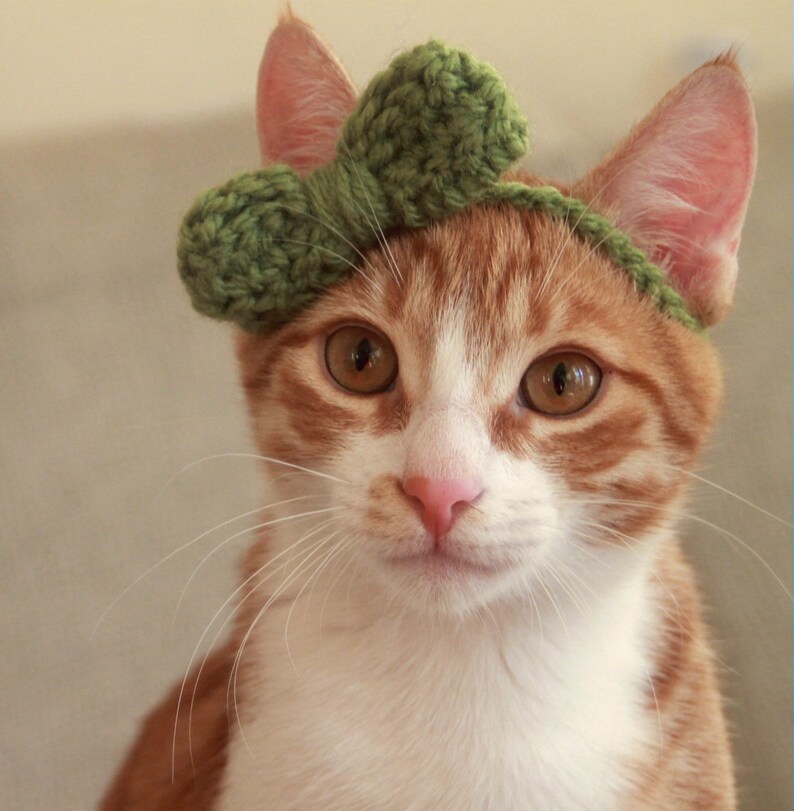 Cat Bow Tie Crochet Pattern Beginner Friendly Crochet Cat Etsy