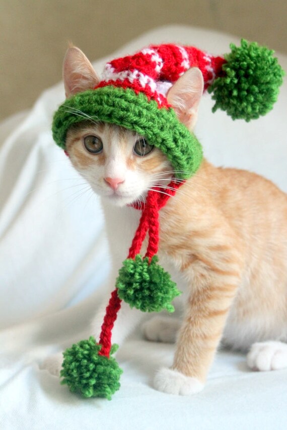 cat elf hat