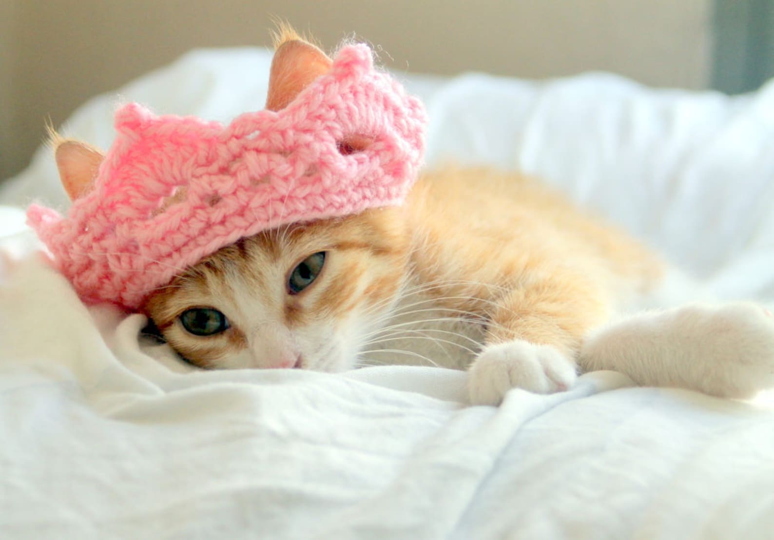 Cat Crown Tiara for Cats and Small Dogs Princess / King / Etsy