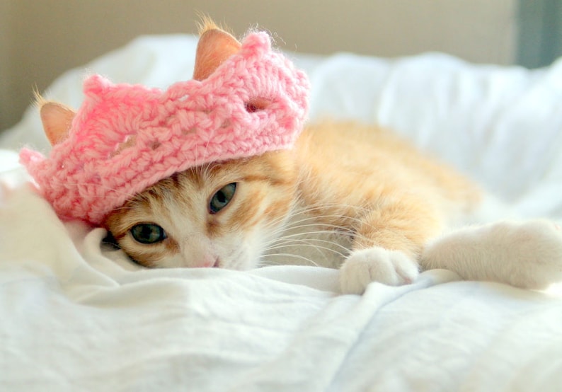 Cat Crown Tiara for Cats and Small Dogs Princess / King / Etsy