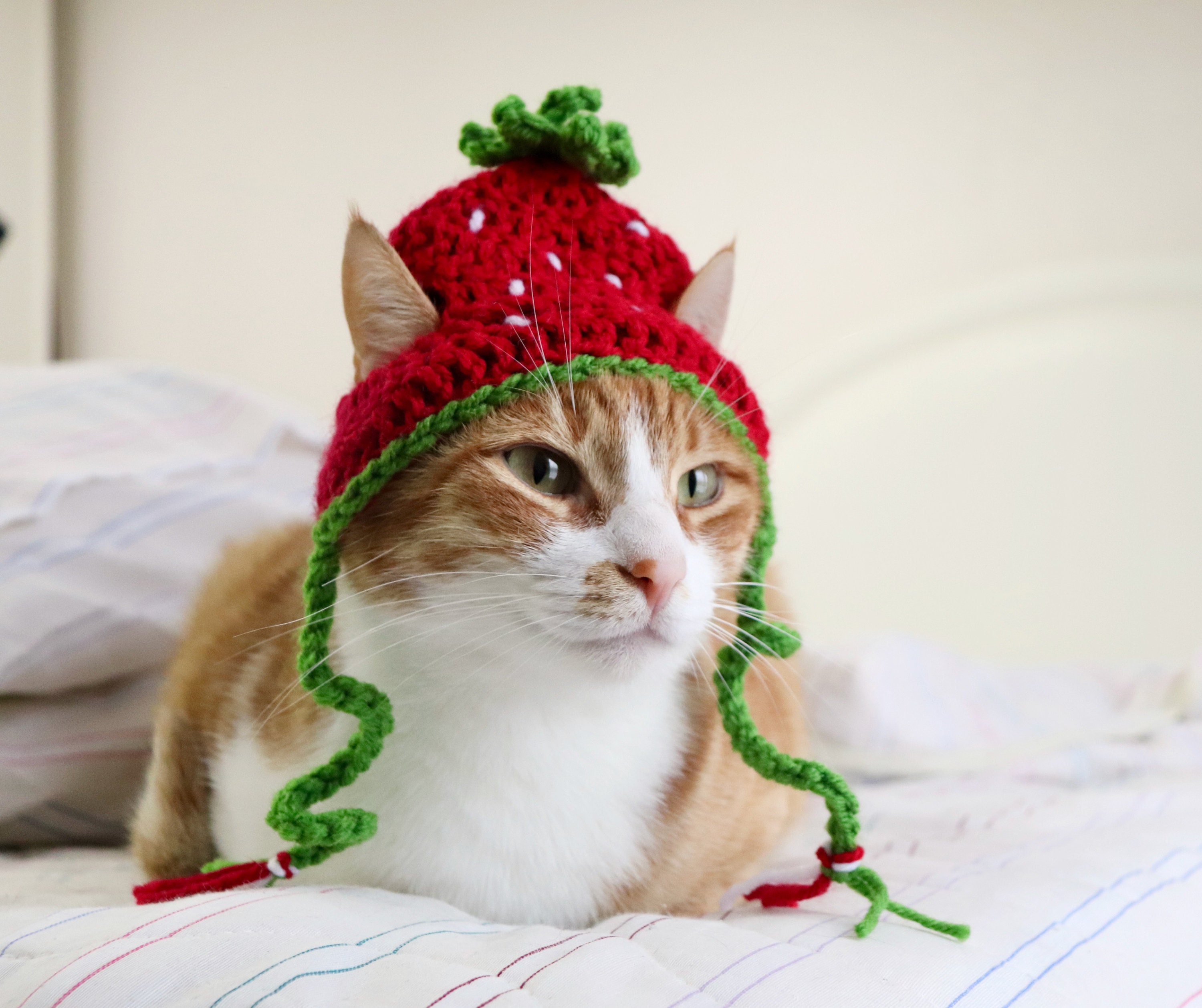 Strawberry Hat for Cats, Crochet Strawberry Hat for Cats and Small Dog  Breeds, Funny Fruit Cat / Kitten Photo Prop Accessory 