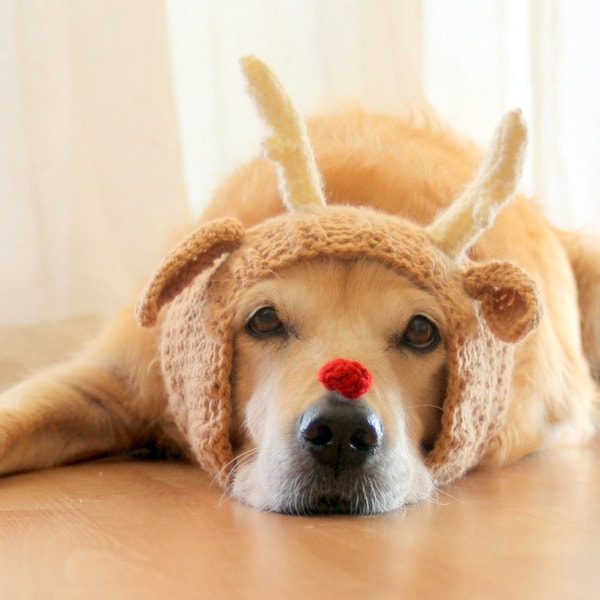 Snood pour chien de renne, chapeau en bois de renne pour grands chiens, costume d'accessoire photo de chien de Noël, chapeau de cerf pour chiens