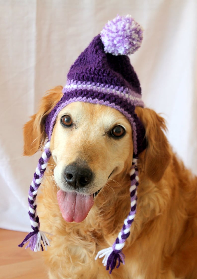 Crochet Dog Hat Pattern Crochet Beanie Hat Pattern for Large Etsy