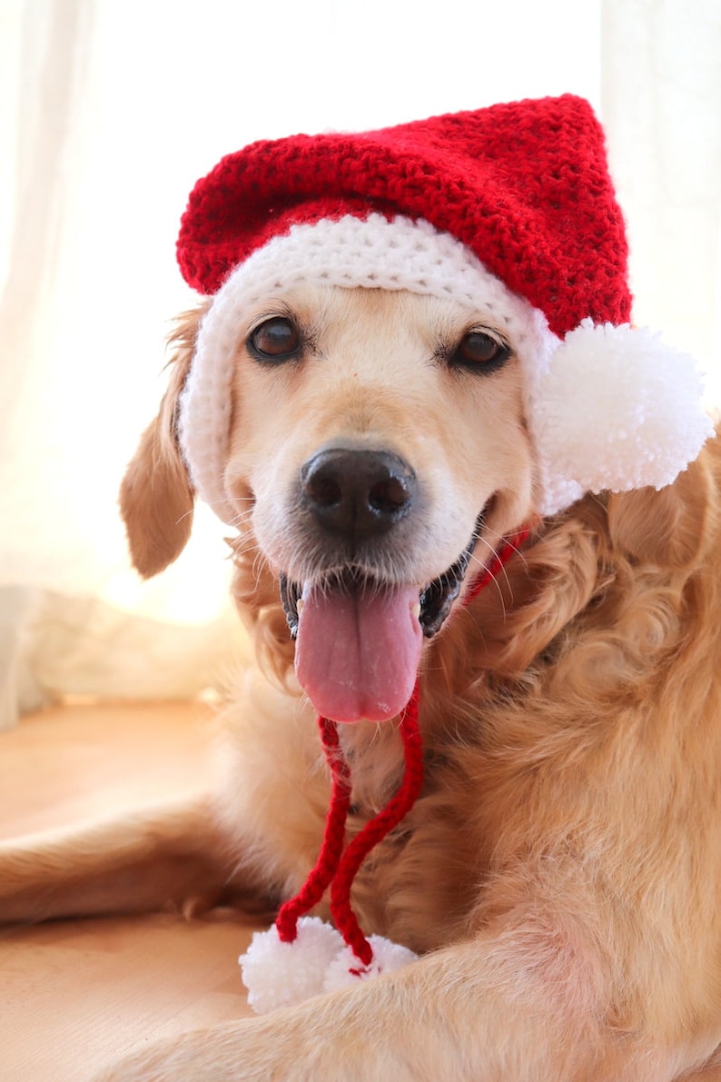 Crochet Pattern: Santa Hat for Large Dogs, Dog Santa Hat Pattern PDF / Digital Download, Christmas Crochet Pattern for Pets / Dog Lovers image 9