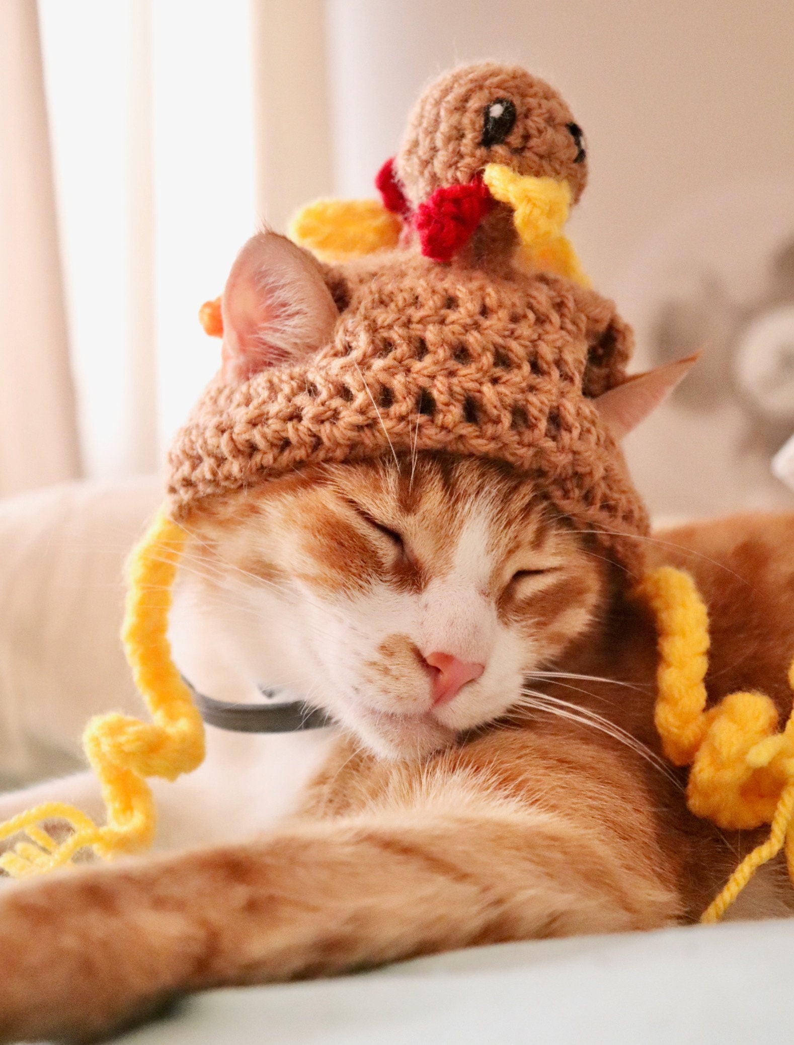 Thanksgiving Turkey Hat for Cats Funny Turkey Cat Hat With -  Denmark