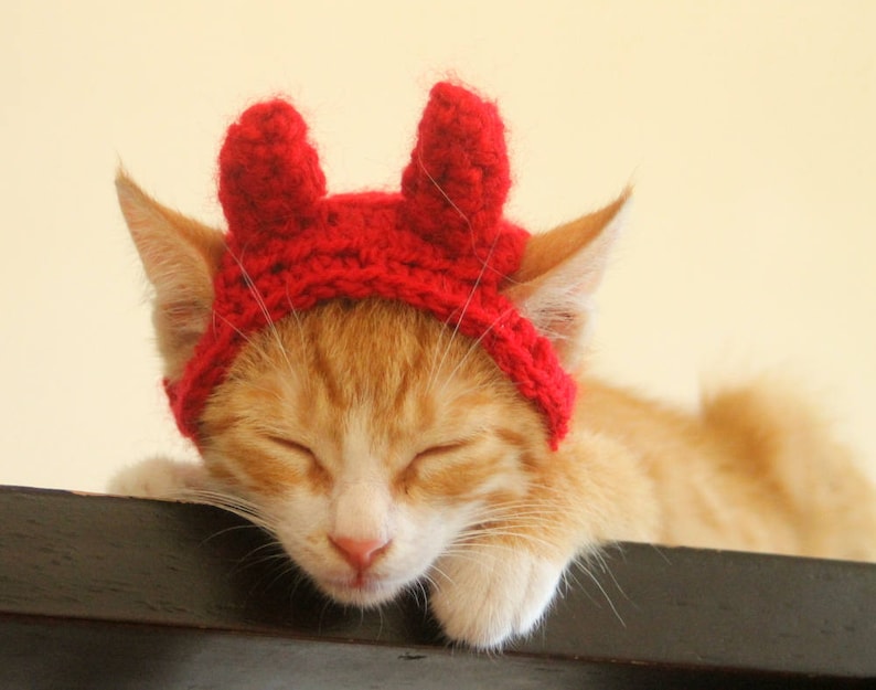 Devil Cat Hat Devil Pet Costume Devil Horns for Cats Devil Etsy