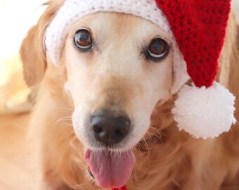 Crochet Pattern: Santa Hat for Large 