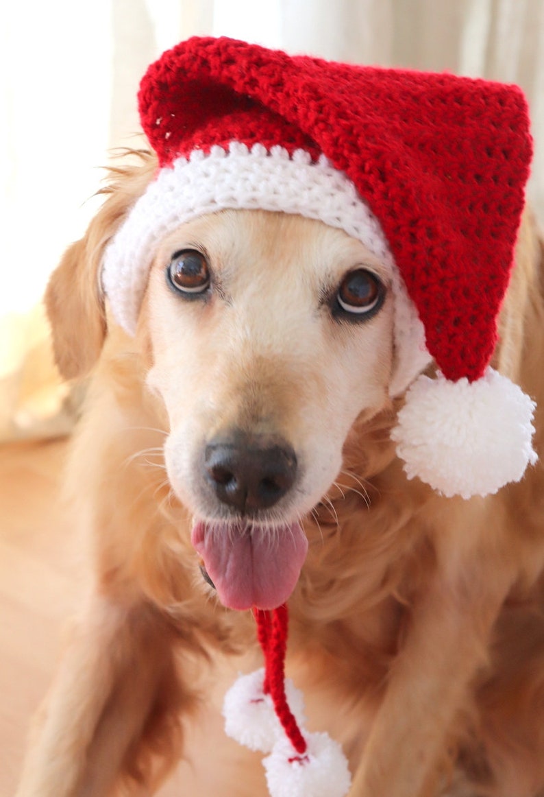 Crochet Pattern: Santa Hat for Large Dogs, Dog Santa Hat Pattern PDF / Digital Download, Christmas Crochet Pattern for Pets / Dog Lovers image 7