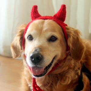 Devil Dog Costume, Devil Horns for Large Breed Dogs, Red Devil Dog Hat, Devil Halloween Dog Costume, Cute Dog Costume, Funny Dog Costume image 5