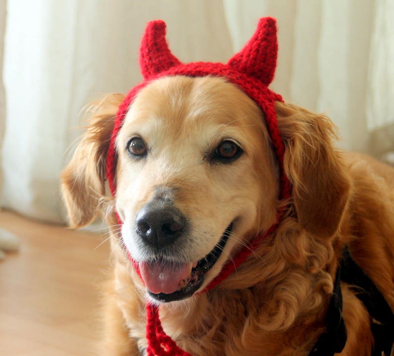 Devil Dog Costume, Devil Horns for Large Breed Dogs, Red Devil Dog Hat, Devil Halloween Dog Costume, Cute Dog Costume, Funny Dog Costume image 5