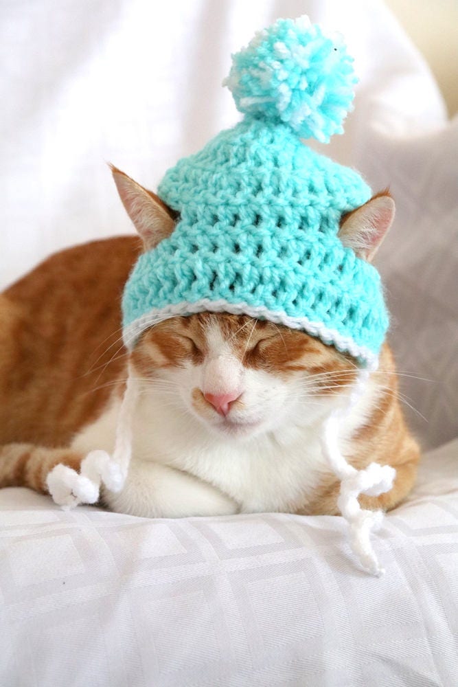 Crochet Cat Hat Pattern, Beginner Friendly Crochet Pattern for