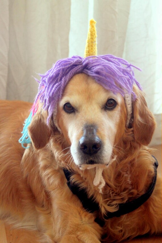 Einhorn Hund Hund Einhorn Einhorn Mähne Einhorn Hut für Etsy