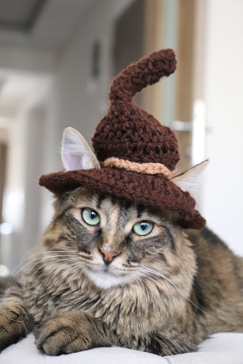 May include: A brown crocheted witch hat with a pointed top sits on the head of a tabby cat with green eyes. The cat is lying down and looking directly at the camera.