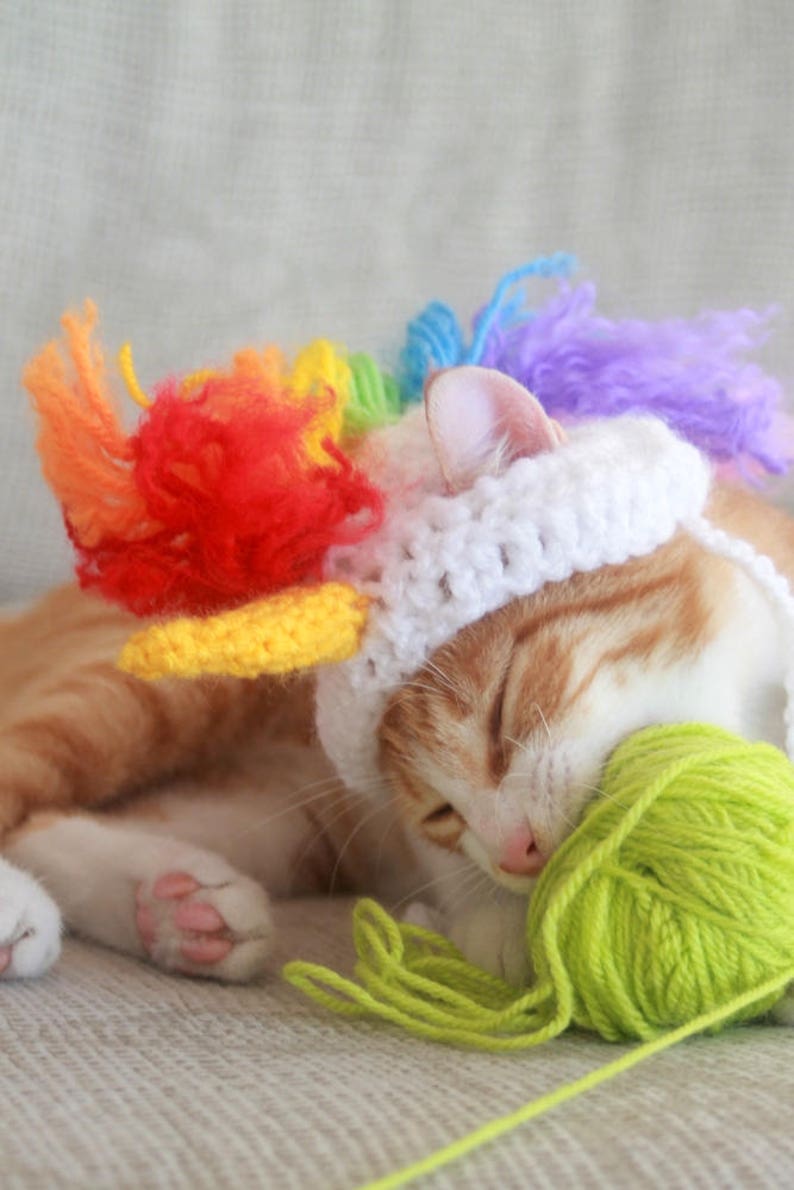 May include: A ginger cat wearing a white crocheted unicorn hat with a rainbow mane, resting its head on a ball of green yarn.