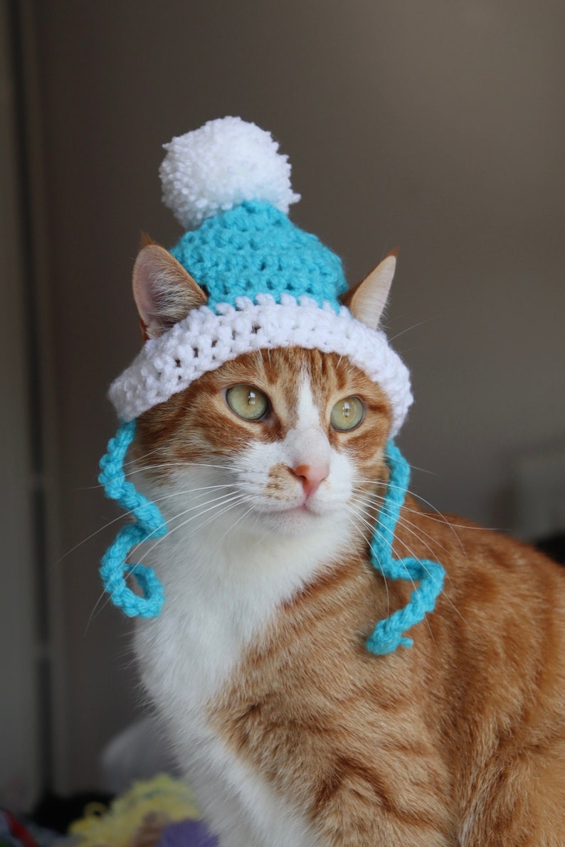 Hut für Katzen, 2 Farbe häkeln Pom Pom Hut für Katzen und Hunde kleiner Rassen, Feline Accessoires für den Winter, süße Katze Foto Requisite Bild 9