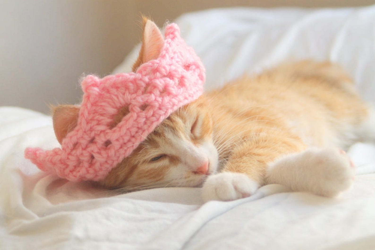 Cat Crown Tiara for Cats and Small Dogs Princess / King / Etsy