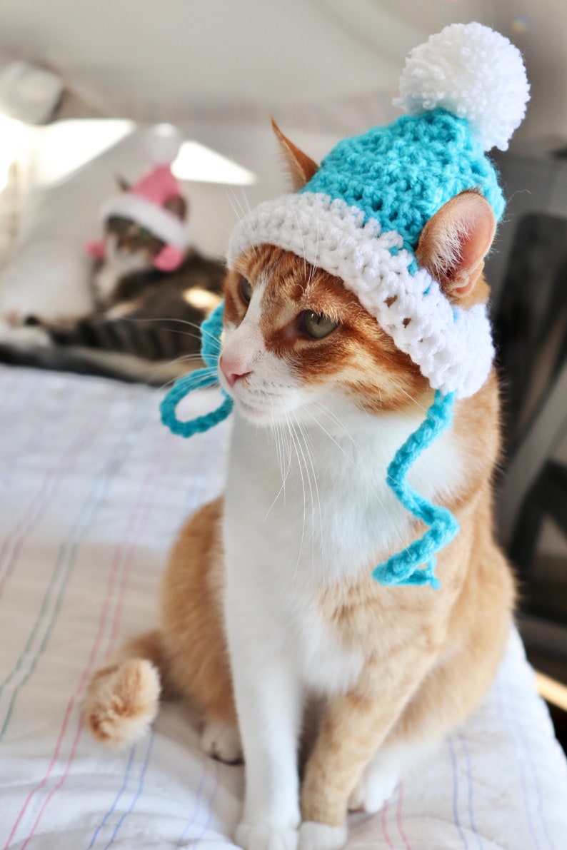 Hut für Katzen, 2 Farbe häkeln Pom Pom Hut für Katzen und Hunde kleiner Rassen, Feline Accessoires für den Winter, süße Katze Foto Requisite Bild 10