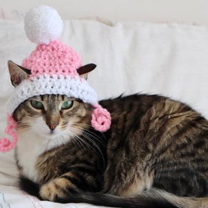 Hut für Katzen, 2 Farbe häkeln Pom Pom Hut für Katzen und Hunde kleiner Rassen, Feline Accessoires für den Winter, süße Katze Foto Requisite Bild 5