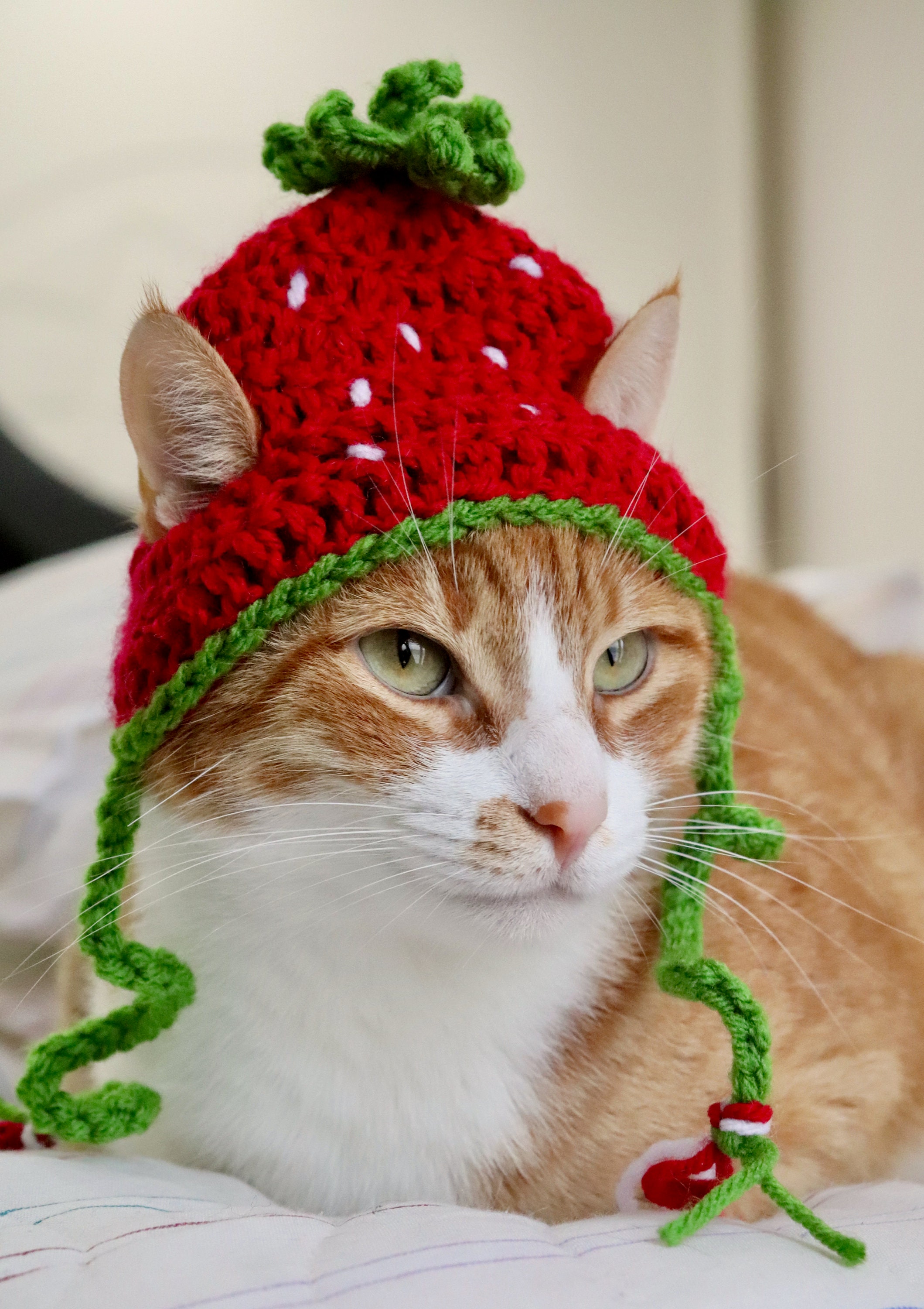 Strawberry Hat for Cats Crochet Strawberry Hat for Cats and Etsy