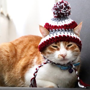 May include: A ginger and white cat wearing a handmade crochet hat with a matching scarf. The hat features red, white, and gray stripes and a pom-pom. The cat is also wearing a blue collar with a small bell.