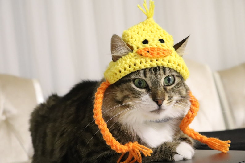 Duck Hat for Cats, Cute Yellow Ducky Cat Hat with Ear Holes, Easy Cat Halloween Costume Ideas, Funny Gift for Cat Lover, Crochet Pet Hats image 6